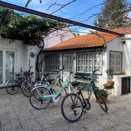 Casa Do Paco Aveiro Holidayhome Εξωτερικό φωτογραφία